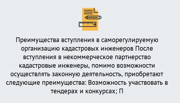 Почему нужно обратиться к нам? Ревда Что дает допуск СРО кадастровых инженеров?