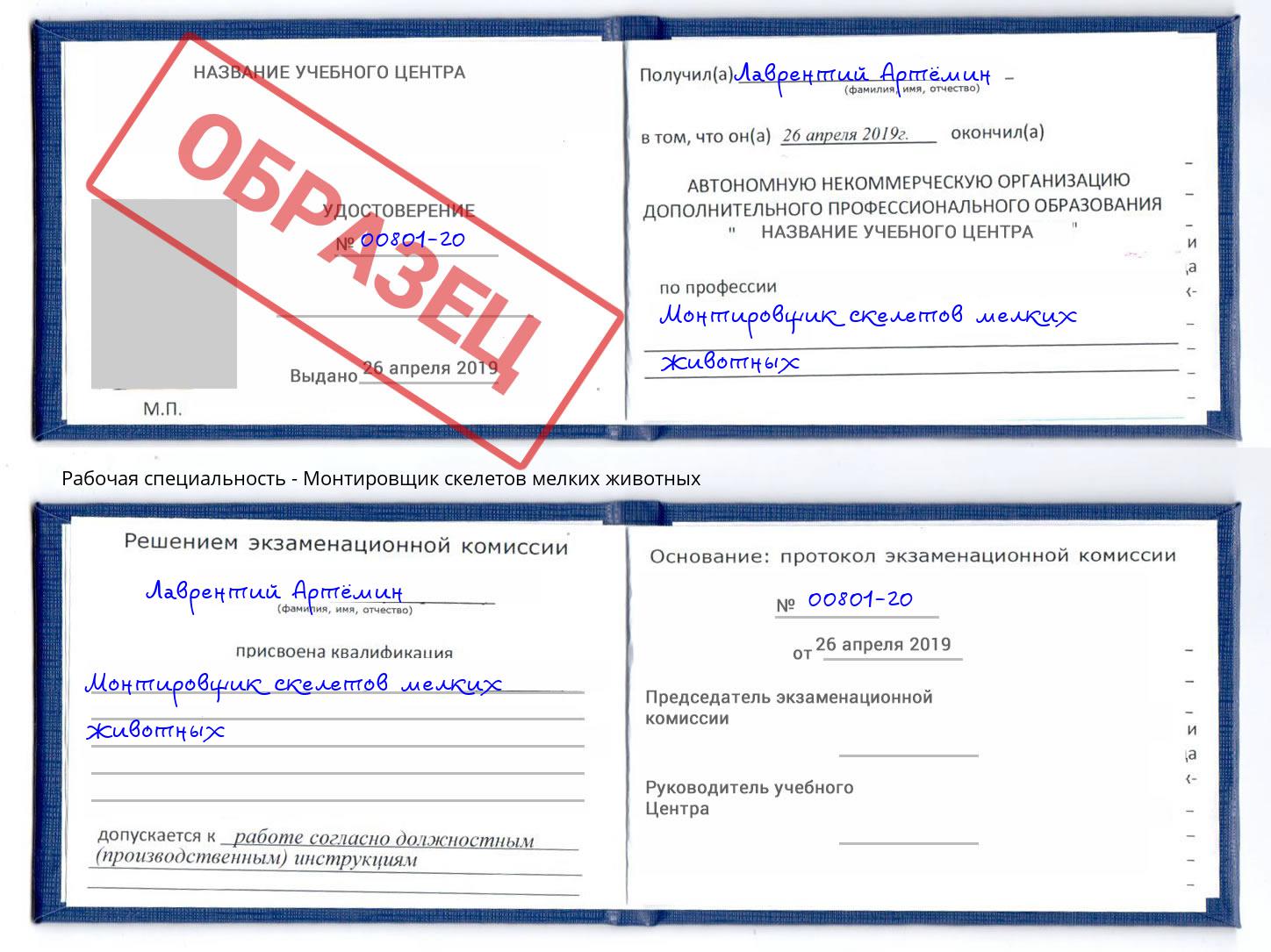 Монтировщик скелетов мелких животных Ревда